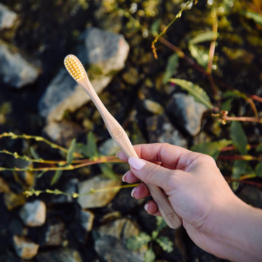 Brosse à dents Medium en bois | Swiss Made