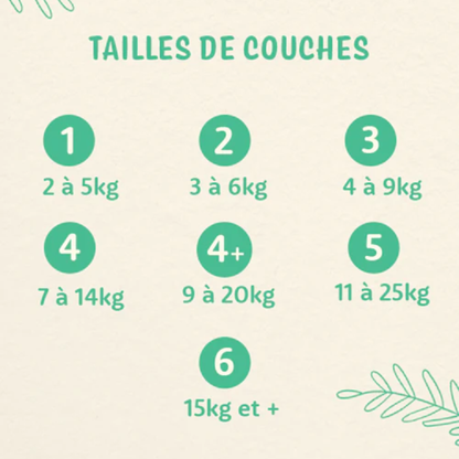 Love and Green | Couches écologiques T3