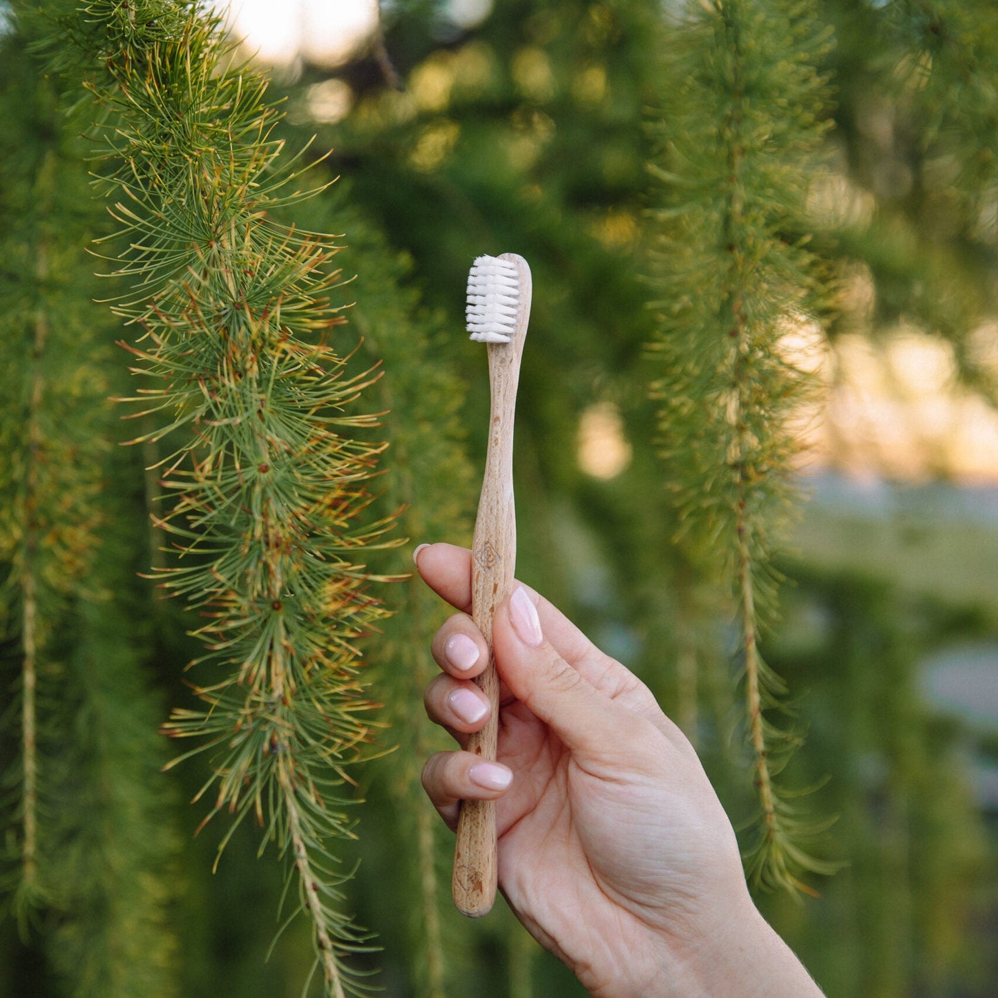 Brosse à dents Soft en bois | Swiss Made