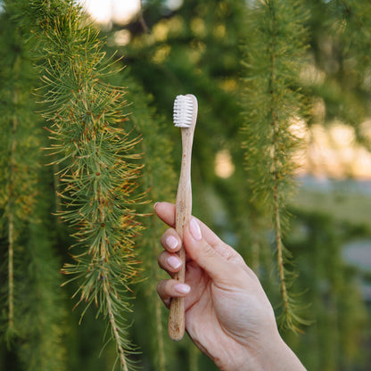 Brosse à dents Soft en bois | Swiss Made